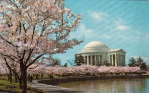 Washington D C Jefferson Memorial At Cherry Blossom Time