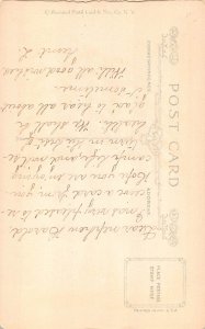 US Patriotic Capitol Building Washington DC Flag embossed postcard B986