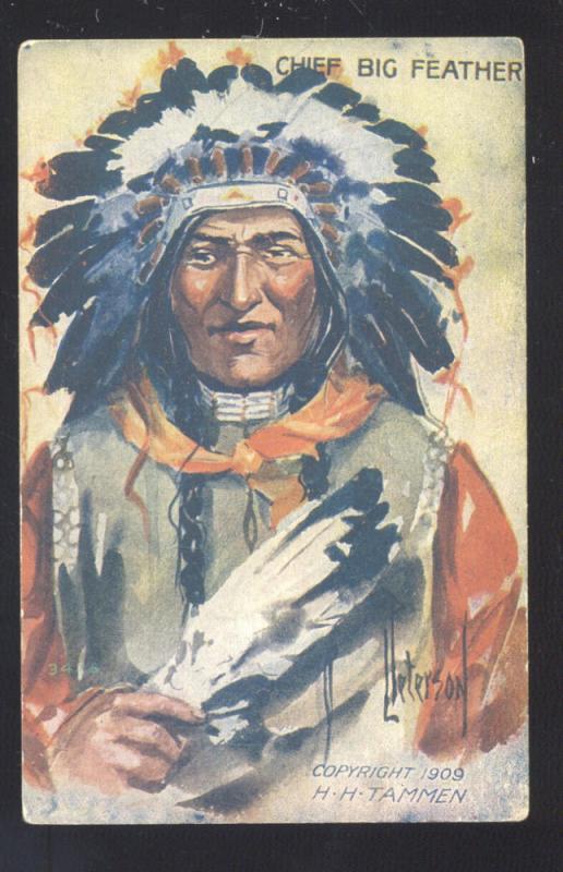 ARTIST SIGNED PETERSON NATIVE AMERICANA POSTCARD INDIAN 