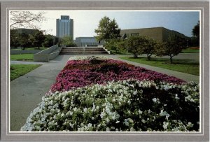 Promenade WESTERN MICHIGAN UNIVERSITY Kalamazoo, Michigan Postcard CE13