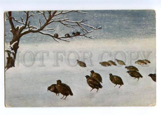 167432 Winter HUNT Partridge by URLICH vintage Color PC