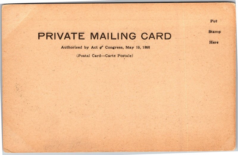 PMC Private Mailing Card VT Burlington Winooski Valley Ethan Allen Park