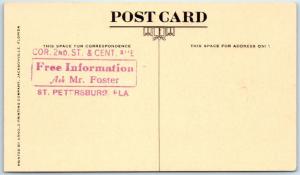 JACKSONVILLE, Florida  FL    ALLIGATOR EGGS HATCHING Incubator  c1910s  Postcard