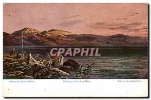 Israel - The Dead Sea - Todes Meer - Dead Sea - - Old Postcard