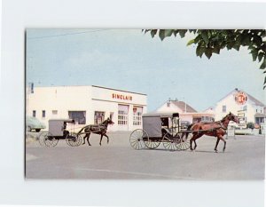 Postcard Family carriage Pennsylvania Dutch Country Pennsylvania USA