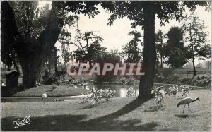 Postcard Moderne Vichy Auvergne A Corner Park