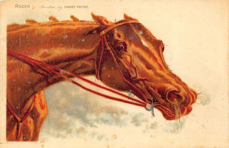 Racer Horse Artist Signed Harry Payne  Raphael Tuck #644 Postcard