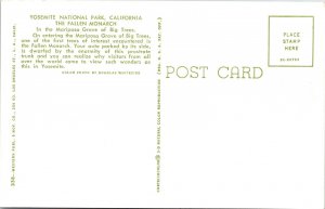 Yosemite National Park CA Calfornia Fallen Monarch Mariposa Grove VTG Postcard 
