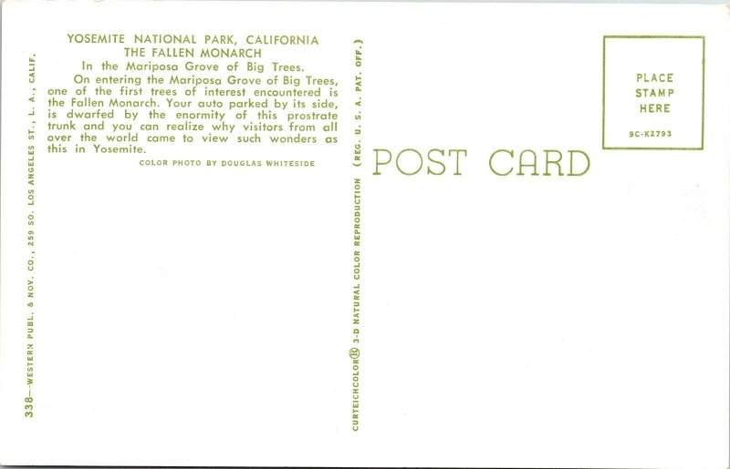 Yosemite National Park CA Calfornia Fallen Monarch Mariposa Grove VTG Postcard 