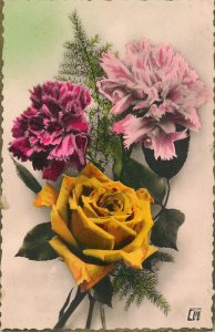 Flowers & plants greetings postcard flower bouquet rose Belgium