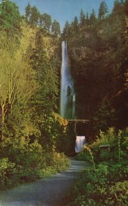 Vintage Postcard 1953 Multnomah Falls Largest Waterfalls Columbia Gorge Oregon