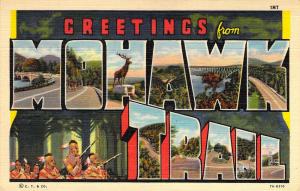 Linen Era,Large Letter,Greetings From Mohawk Trail,Old Postcard