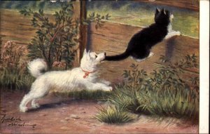 Dog Chases Cat Kitten Gets by Tail SPURLICH c1910 Postcard