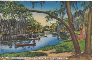 Florida Canoeing On The Suwannee River