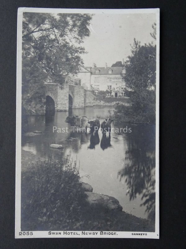 Cumbria NEWBY BRIDGE Swan Hotel & Cattle in the River Old RP Postcard by Sankeys