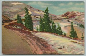 Idaho~Timberline In The Rockies~Vintage Postcard