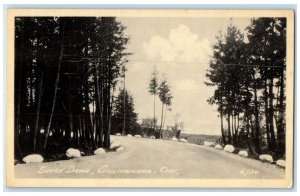 c1940's Scene of Road at Shore Collingwood Ontario Canada Unposted Postcard