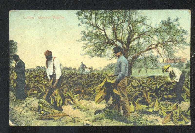 CUTTING TOBACCO VIRGINIA BLACK AMERICANA BLACK FARMER FARMING POSTCARD