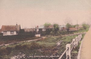Bungalows At Great Sampford Essex Antique Tucks Postcard