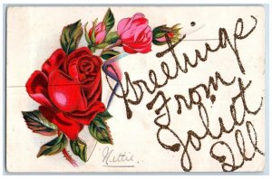 c1910 Greetings From Joliet Roses Glitter Illinois IL Vintage Antique Postcard 