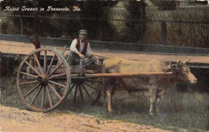 Pensacola Florida North Gaspe Boat Bull Cart Vintage Postcard JF686364