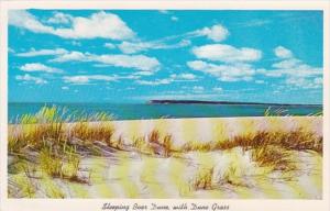 Michigan Leelanau County Sleeping Bear Dune With Dune Grass