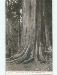 old rppc NICE VIEW Vancouver British Columbia BC W0901