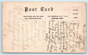 LITCHFIELD, Minnesota MN ~ CENTRAL PARK c1910s Meeker County Postcard