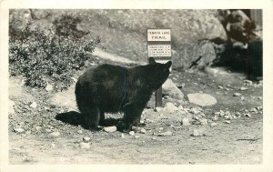 Postcard RPPC California Tenaya Lake Yosemite Bear Trail Sign 23-3655