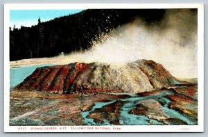 Yellowstone National Park  Sponge Geyser  Wyoming   Postcard