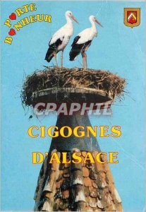 Modern Postcard Souvenir d'Alsace Storks