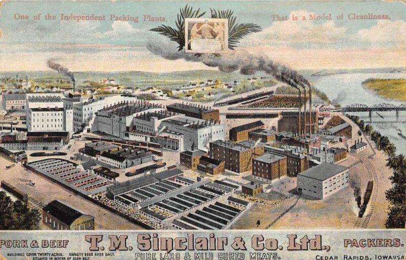 Cedar Rapids Iowa Sinclair Meat Packing Factory Vintage Postcard AA17730