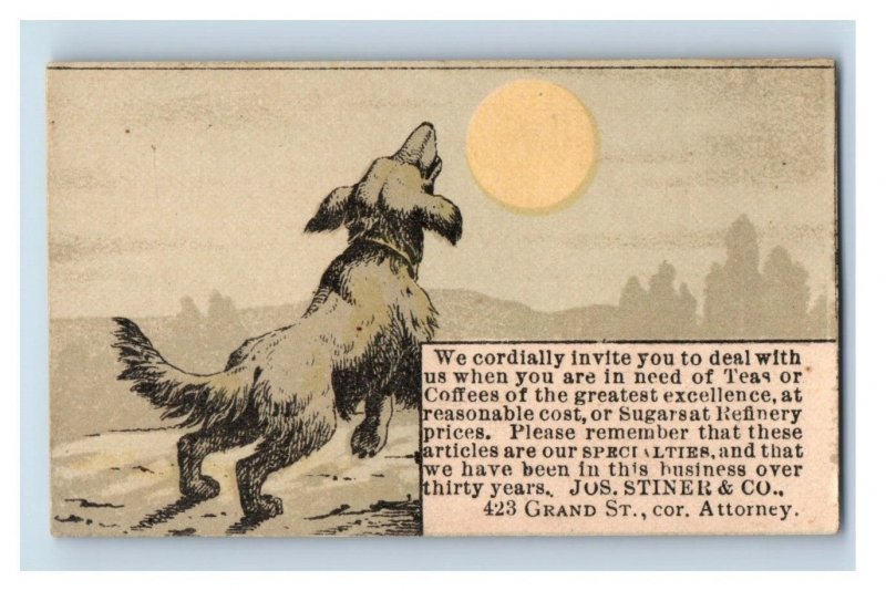 1880s Jos. Stiner & Co. Spices Sugars Teas Coffees Cute Dog & Moon F136