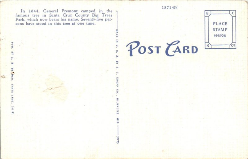 General Freetree,Big Trees Park,Santa Cruz,CA BIN