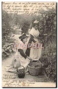 Arles Old Postcard Types & # 39arlesienne The harvest TOP (agriculture vines