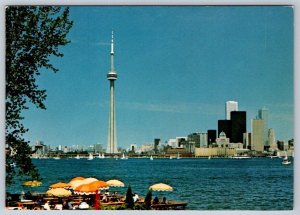 CN Tower, Harbour And Skyline View From Toronto Island, Ontario Chrome Postcard