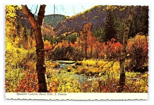 Spearfish Canyon Black Hills South Dakota Continental View Postcard Fall Foliage