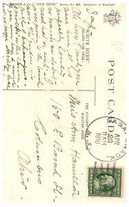 Dog    artist signed Dorothy Travers Pope