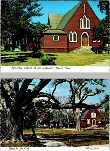 2~4X6 Postcards Biloxi, MS Mississippi EPISCOPAL CHURCH OF THE REDEEMER~OAK TREE
