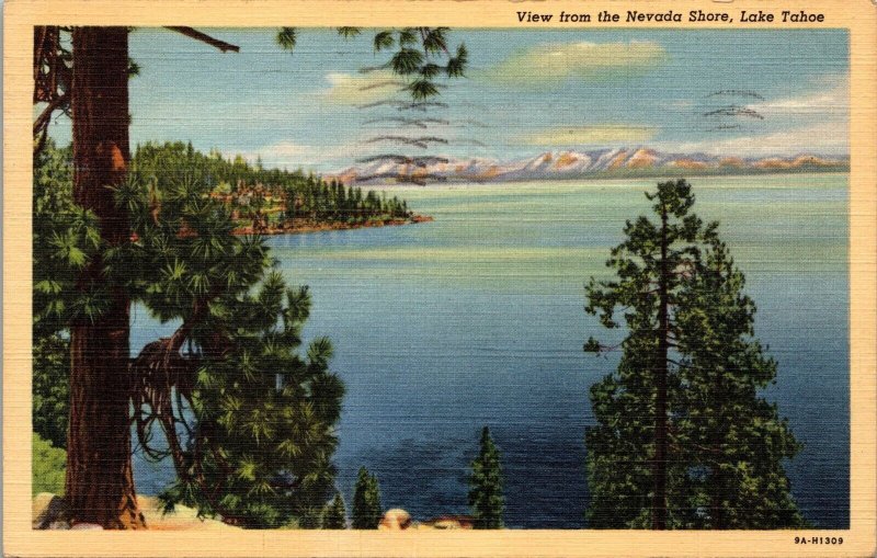 View from the Nevada Shore Lake Tahoe Nevada  Postcard PC191