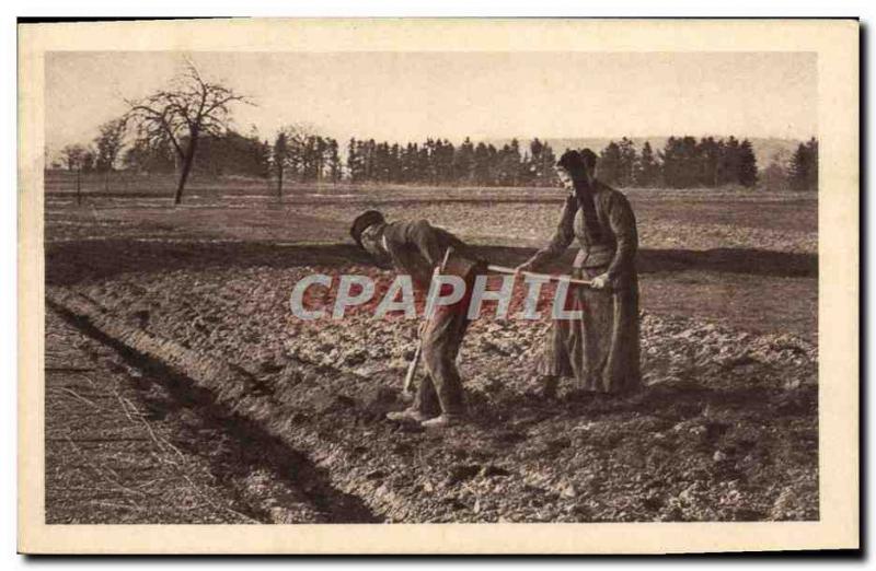 Old Postcard Folklore Culture in the fields