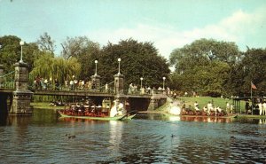 Vintage Postcard Swan Boats Public Gardens Institution Boston Massachusetts MA