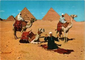 CPM EGYPTE Giza-Arab Camelriders in front of the Pyramids (343840)