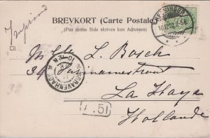 Denmark Hilsen fra Marienlyst Hamlet Statue Helsingør Postcard C021