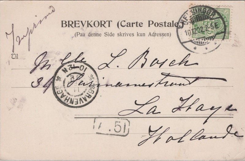 Denmark Hilsen fra Marienlyst Hamlet Statue Helsingør Postcard C021