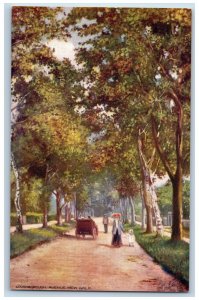 Loughborough England Postcard Avenue New Walk c1910 Oilette Tuck Art