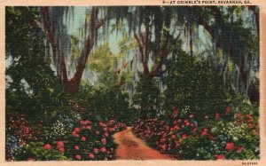 Vintage Postcard 1930's At Grimble's Point Savannah GA Georgia