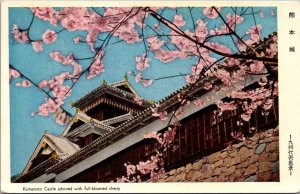 Japan Kyoto Kumamoto Castle Adorned With Blooming Cherry Blossoms