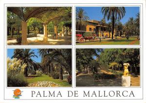 BT9682 Palma de mallorca    Spain