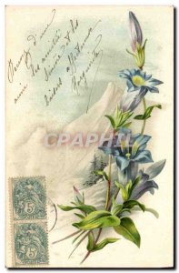 Old Postcard Fantasy Flowers